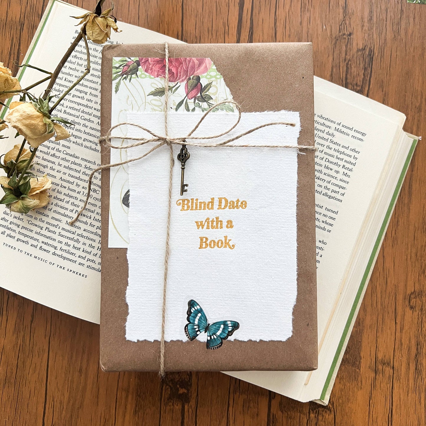 Blind Date with a Book - Mixed Genres - Fairy Collection