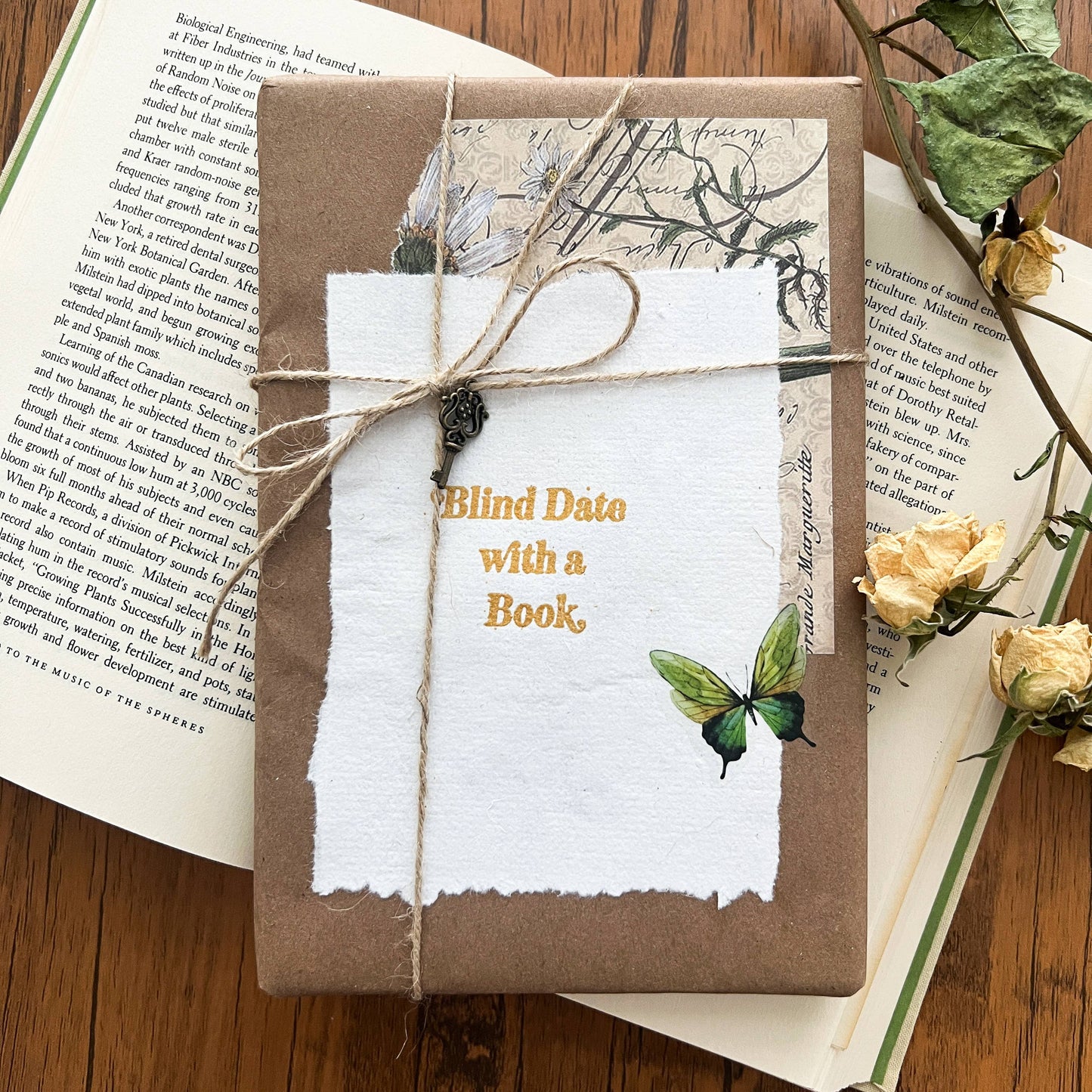 Blind Date with a Book - Fiction Only - Fairy Collection