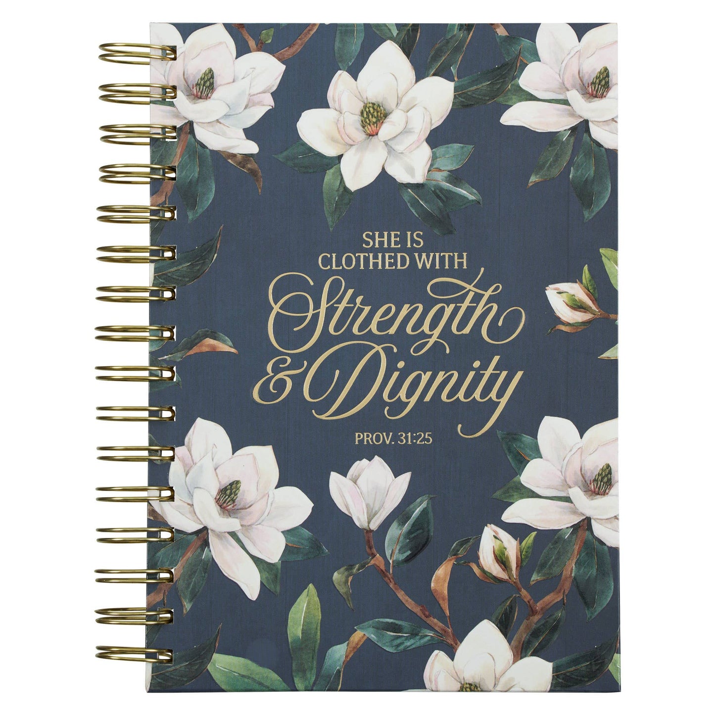Journal Strength & Dignity Prov. 31:25
