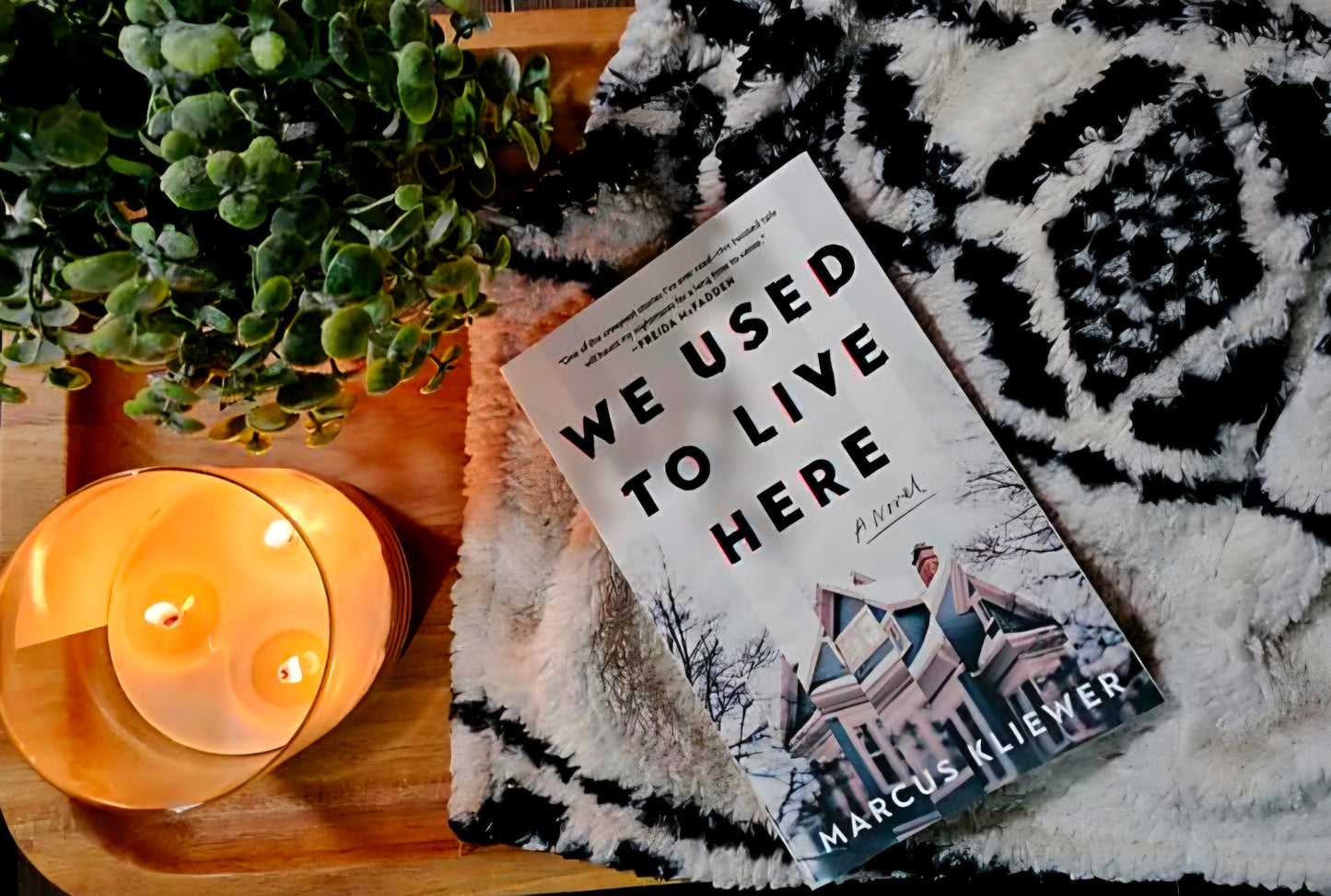 We Used to Live Here - Marcus Kliewer - Fiction/Suspense & Thriller