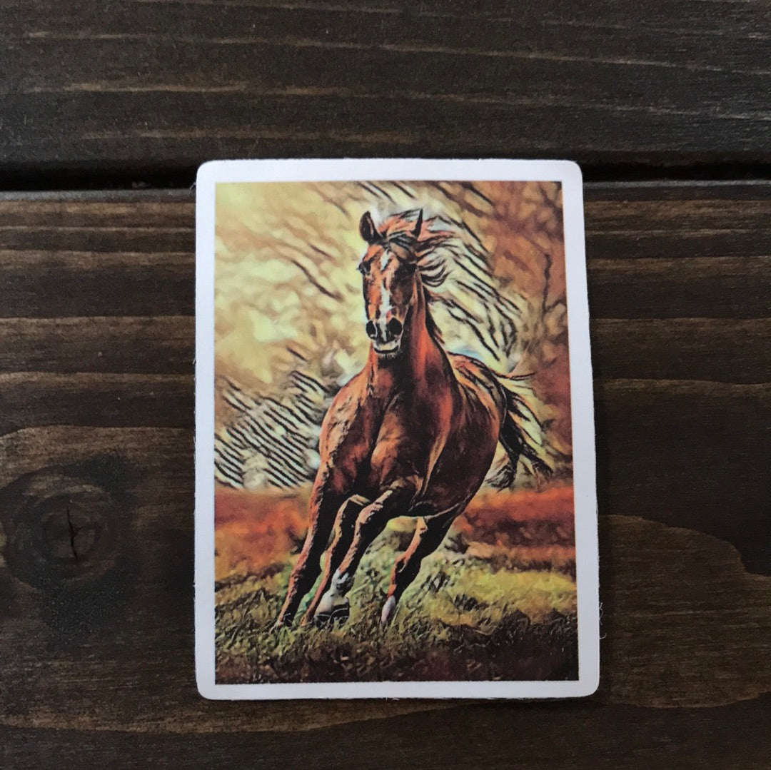 The Yellow Butterfly & Co LLC - Western Sticker Pack