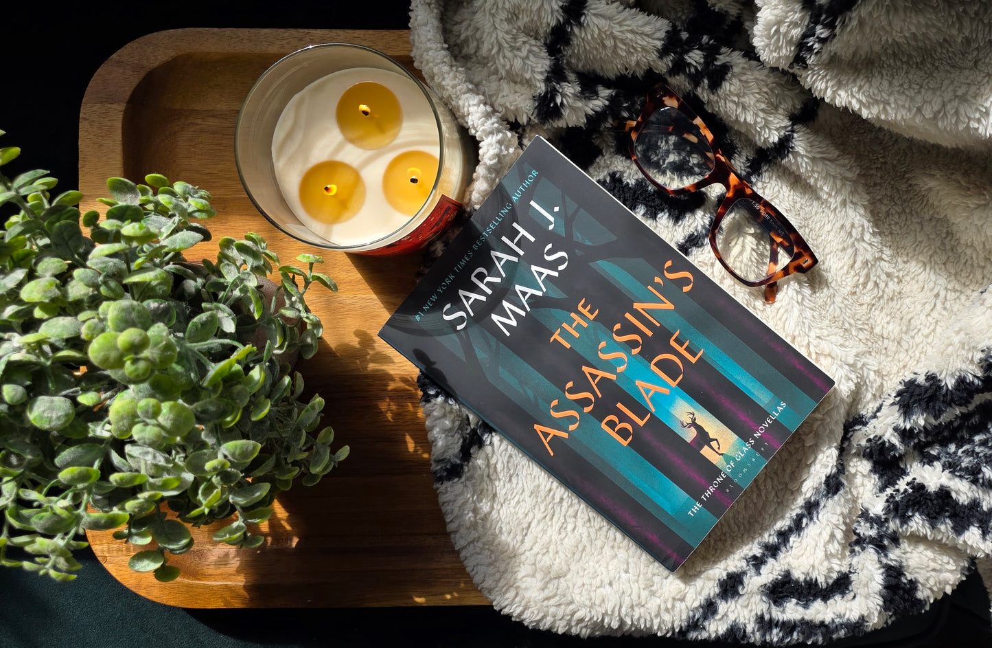 Book 'The Assassin's Blade' by Sarah Maas on a blanket with a candle and plant in the background