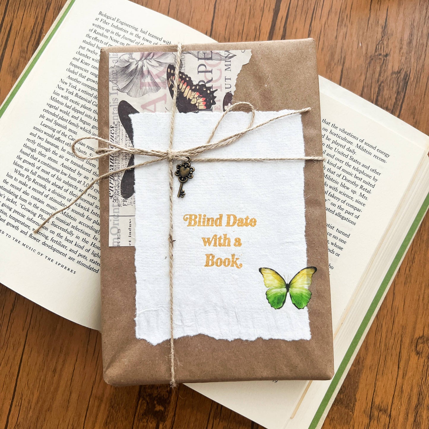 Blind Date with a Book - Fiction Only - Fairy Collection