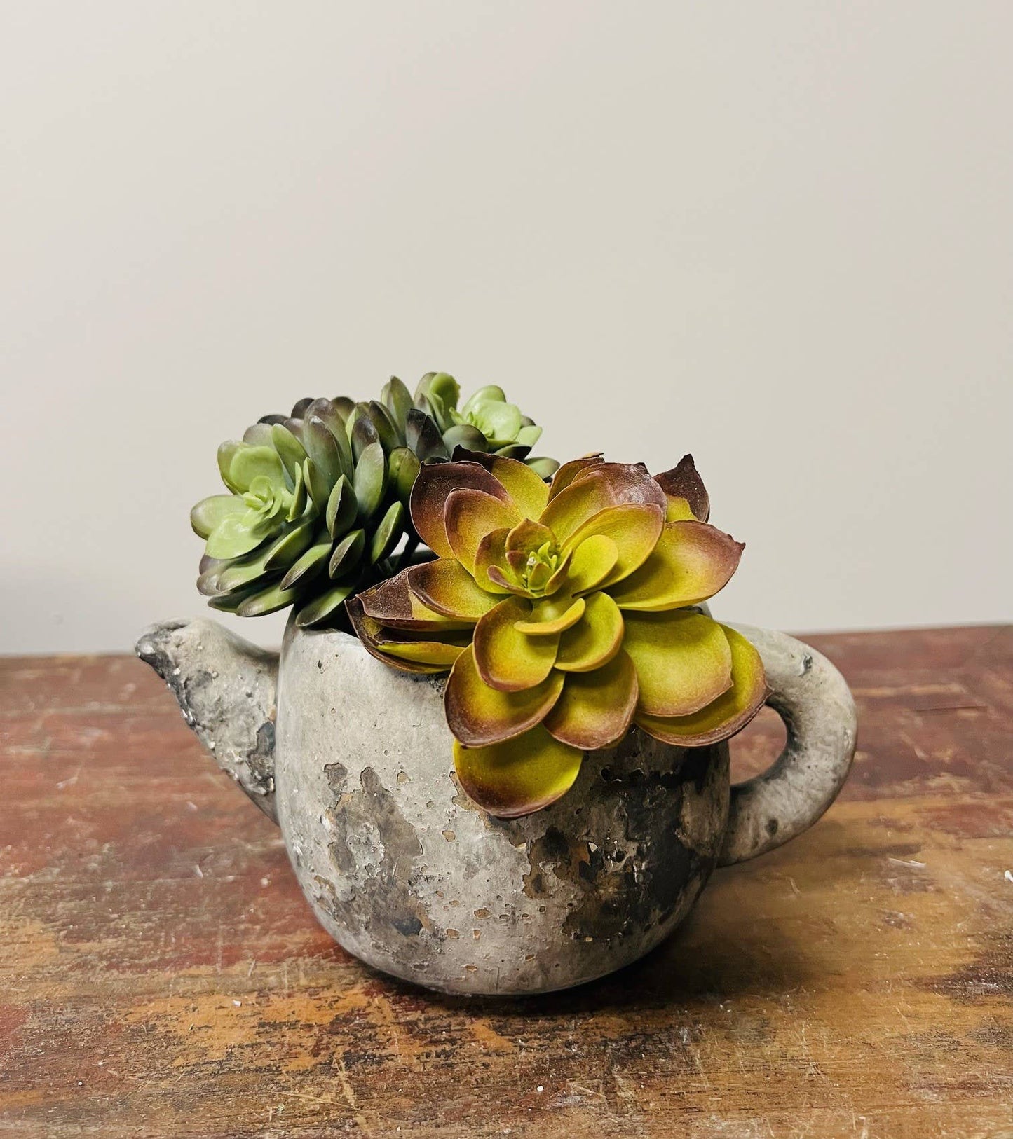 Cement Rustic Teapot Succulent Planter: Small