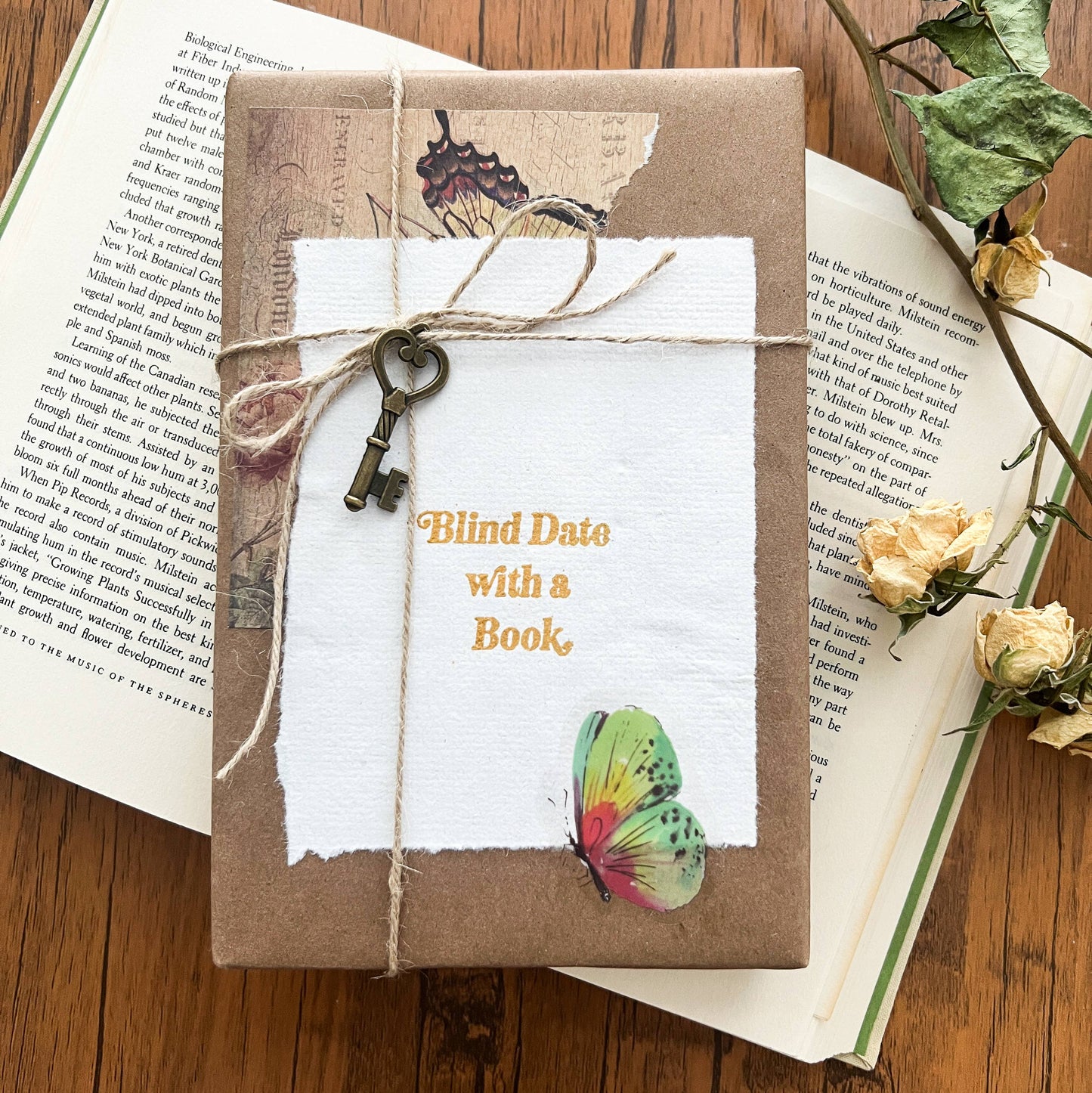 Blind Date with a Book - Fiction Only - Fairy Collection