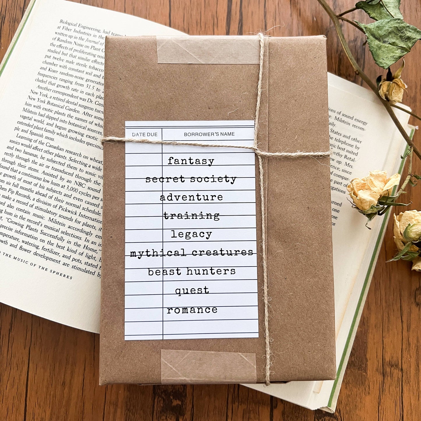 Blind Date with a Book - Fiction Only - Fairy Collection
