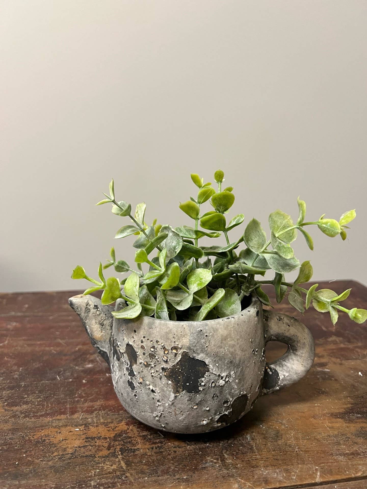 Cement Rustic Teapot Succulent Planter: Small