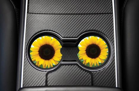 SUNFLOWER CAR COASTER