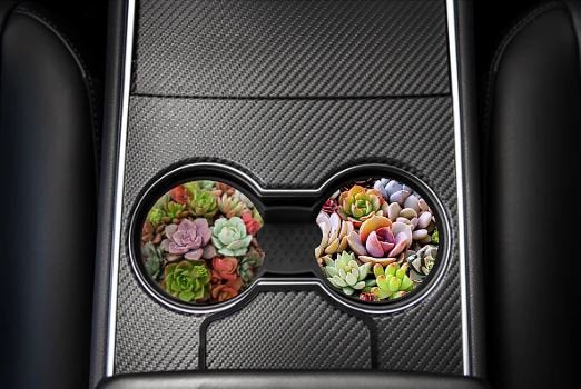 SUCCULENT CAR COASTERS