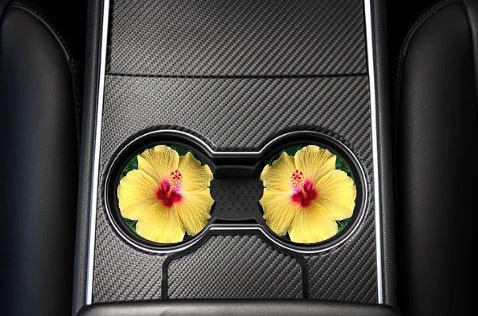 TROPICAL FLOWER CAR COASTER