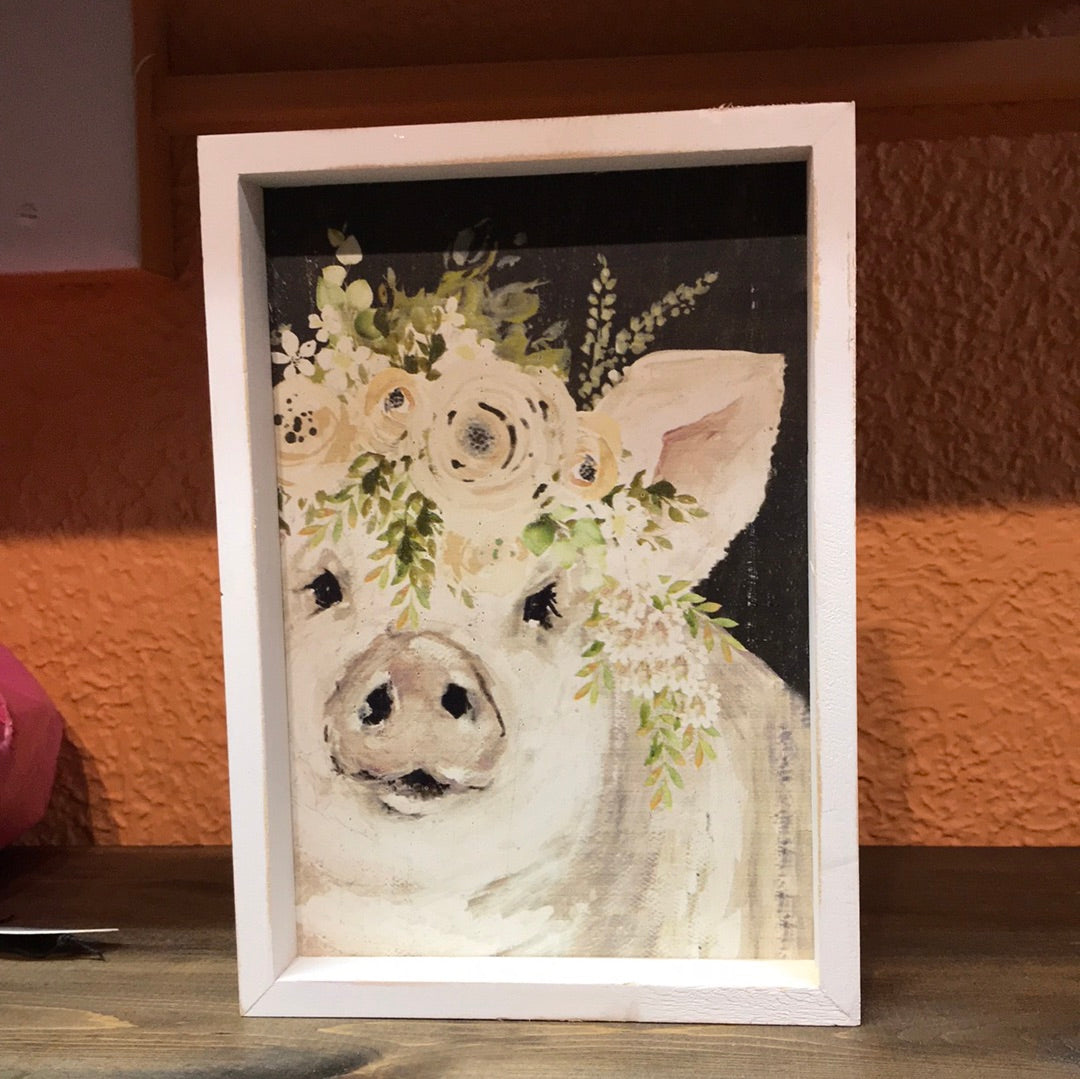 Pig photo